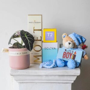 baby boy gift hamper