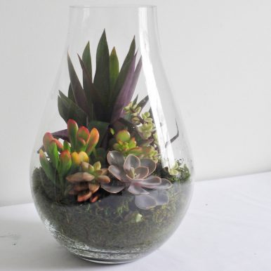 TERRARIUM